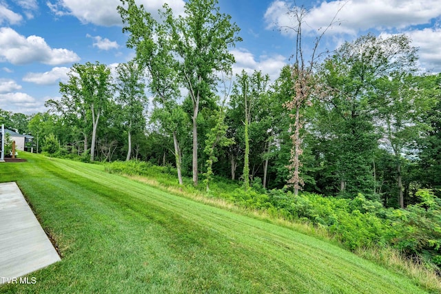 440 English Ivy Trl, Jonesborough, TN 37659 - photo 47