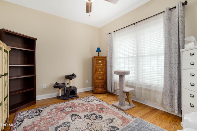 440 English Ivy Trl, Jonesborough, TN 37659 - photo 26