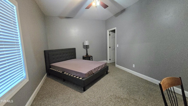 9 Lynn Terrace Ct, Johnson City, TN 37604 - photo 19