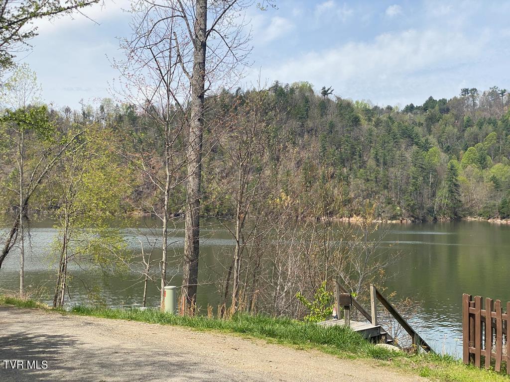 LOT10 Norris Rd, Butler, TN 37640 - photo 4
