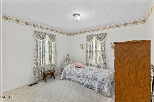1050 Cooper St, Kingsport, TN 37665 - photo 13