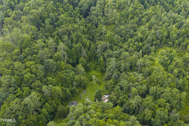 834 Simerly Creek Rd, Hampton, TN 37658 - photo 1