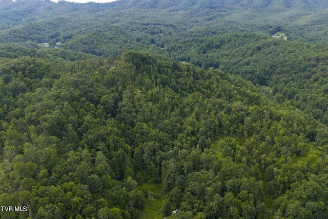 834 Simerly Creek Rd, Hampton, TN 37658 - photo 2