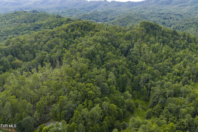 834 Simerly Creek Rd, Hampton, TN 37658 - photo 5
