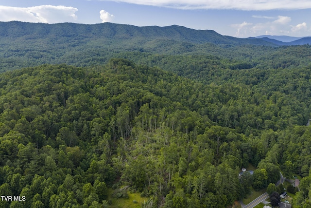 834 Simerly Creek Rd, Hampton, TN 37658 - photo 8