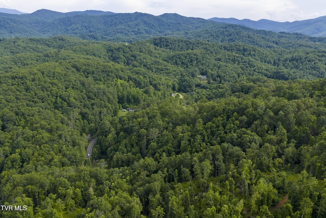 834 Simerly Creek Rd, Hampton, TN 37658 - photo 10