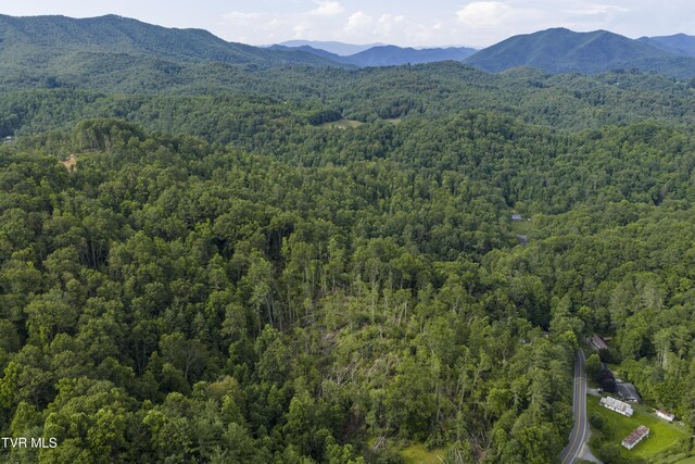 834 Simerly Creek Rd, Hampton, TN 37658 - photo 14