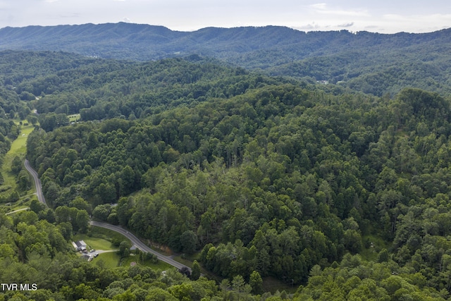 834 Simerly Creek Rd, Hampton, TN 37658 - photo 16