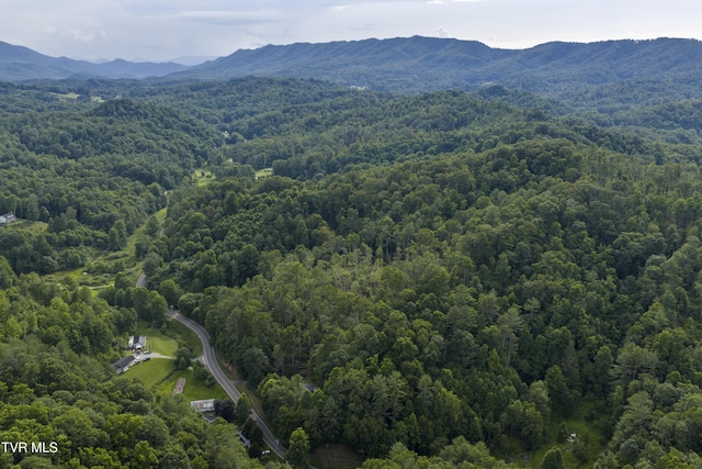 834 Simerly Creek Rd, Hampton, TN 37658 - photo 17