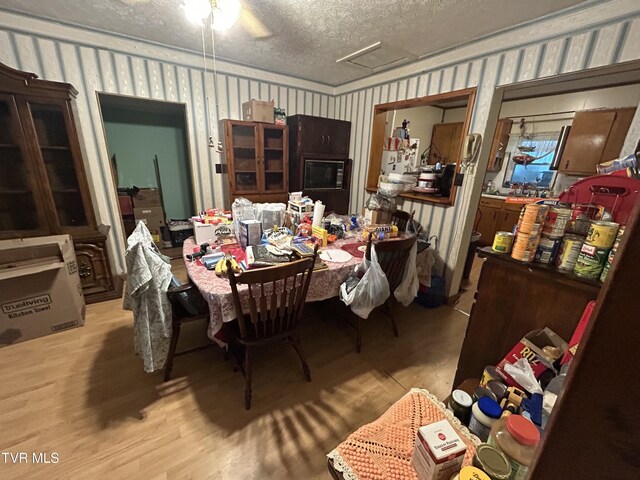 117 Gravely Dr, Pennington Gap, VA 24277 - photo 12