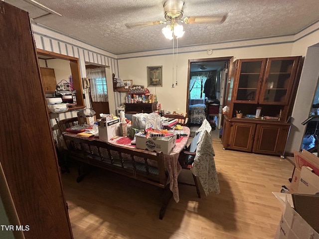 117 Gravely Dr, Pennington Gap, VA 24277 - photo 16