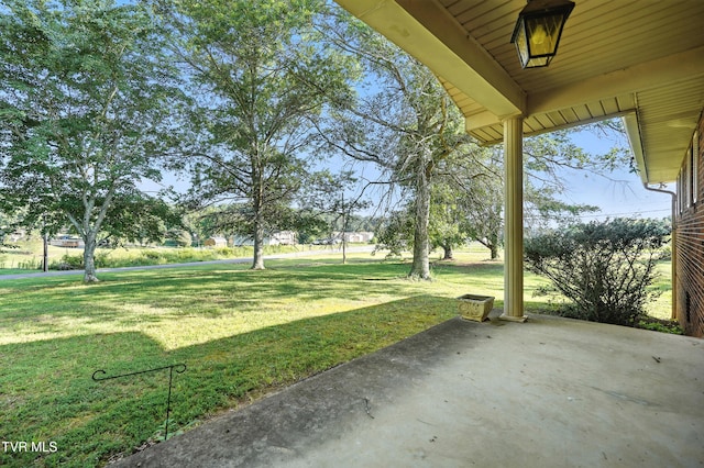 129 Glendale Rd, Limestone, TN 37681 - photo 42
