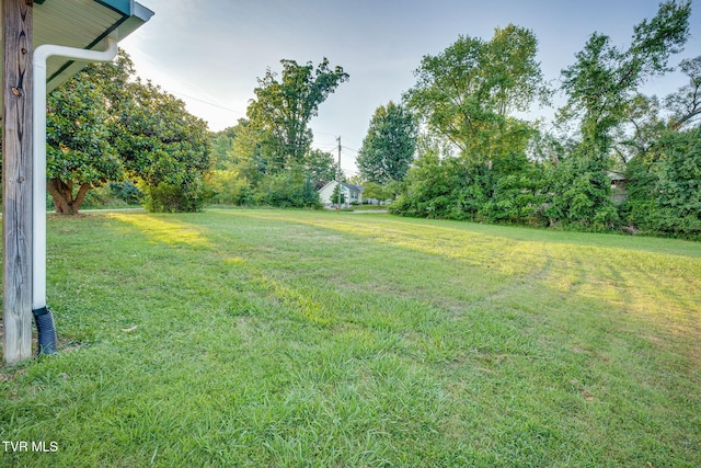 1813 Madison St, Kingsport, TN 37665 - photo 24