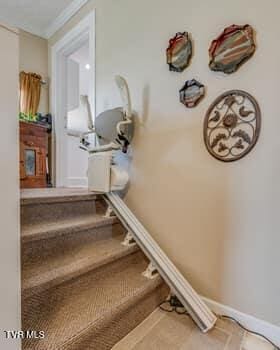 309 Elm St, Elizabethton, TN 37643 - photo 21