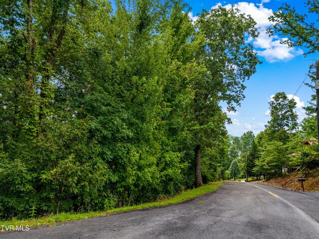 648 Lakeview Dr, Mooresburg, TN 37811 - photo 3