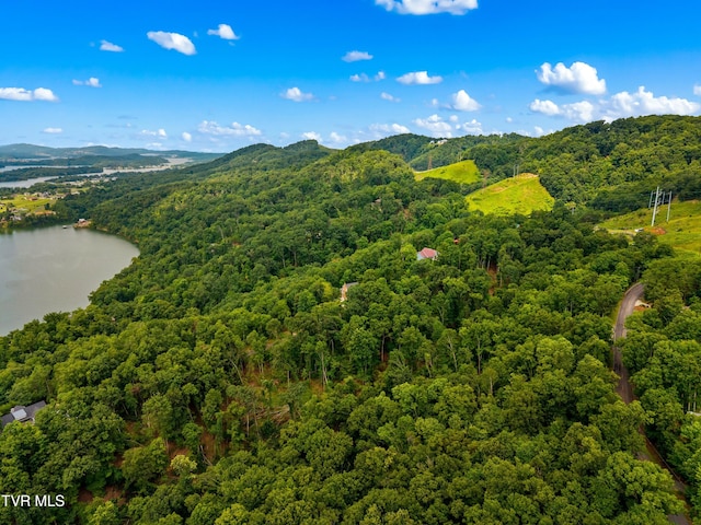 648 Lakeview Dr, Mooresburg, TN 37811 - photo 4