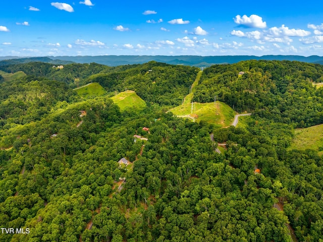 648 Lakeview Dr, Mooresburg, TN 37811 - photo 5