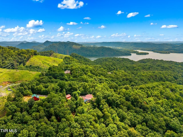 648 Lakeview Dr, Mooresburg, TN 37811 - photo 6