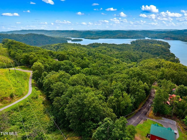 648 Lakeview Dr, Mooresburg, TN 37811 - photo 7
