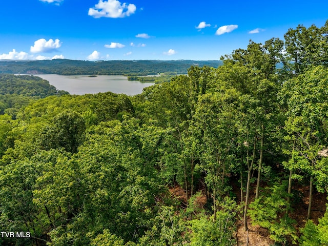 648 Lakeview Dr, Mooresburg, TN 37811 - photo 8