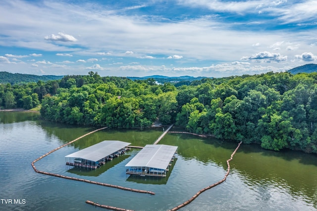 648 Lakeview Dr, Mooresburg, TN 37811 - photo 16