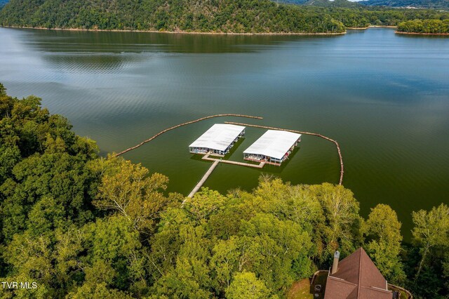648 Lakeview Dr, Mooresburg, TN 37811 - photo 21