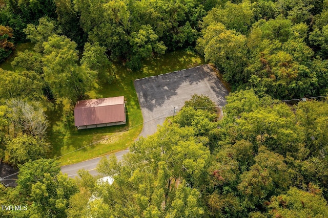 648 Lakeview Dr, Mooresburg, TN 37811 - photo 23
