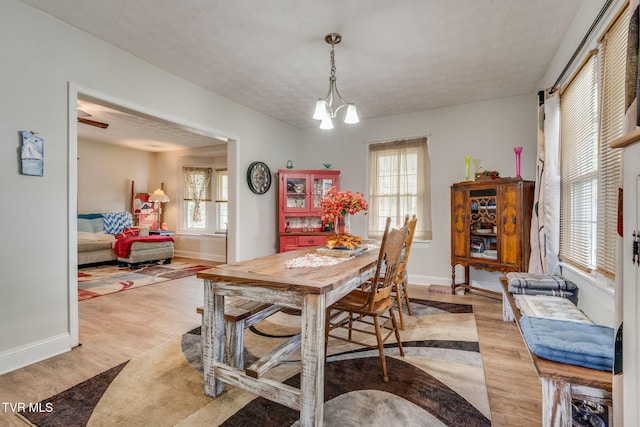 639 Ohio Ave, Erwin, TN 37650 - photo 9