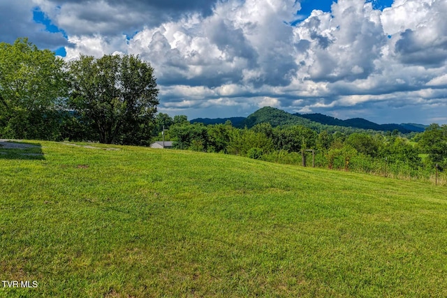 188 Meadow View Rd, Rogersville, TN 37857 - photo 49