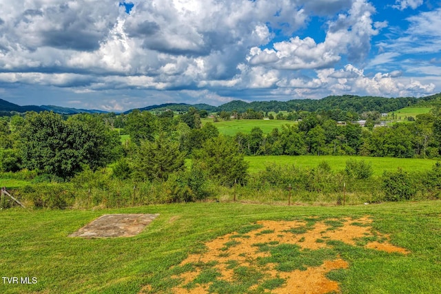 188 Meadow View Rd, Rogersville, TN 37857 - photo 57