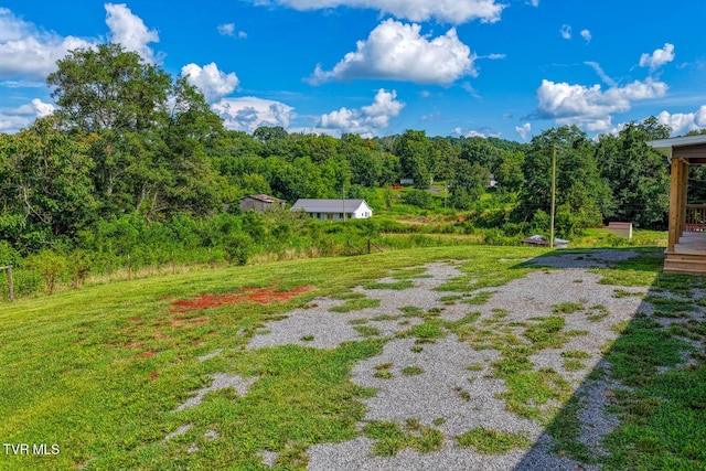188 Meadow View Rd, Rogersville, TN 37857 - photo 58