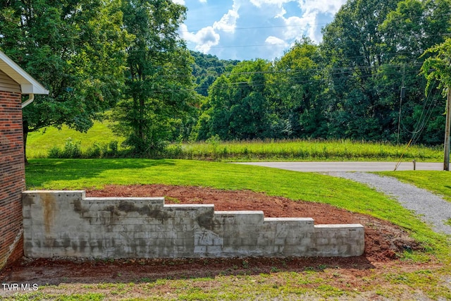 188 Meadow View Rd, Rogersville, TN 37857 - photo 59