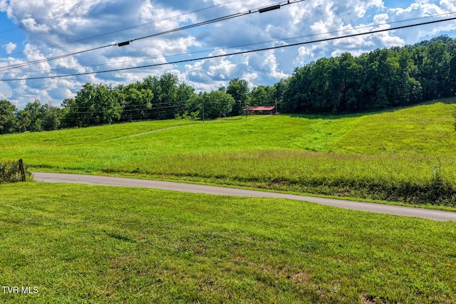 188 Meadow View Rd, Rogersville, TN 37857 - photo 60