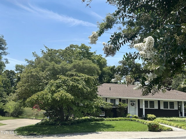 226 Susong Ln, Greeneville, TN 37743 - photo 3