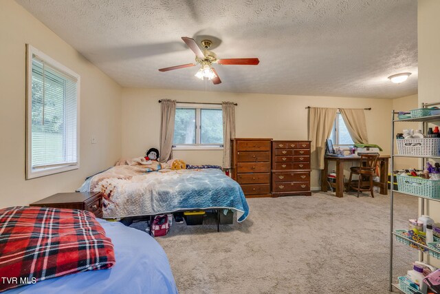 329 Westfield Dr, Kingsport, TN 37664 - photo 13