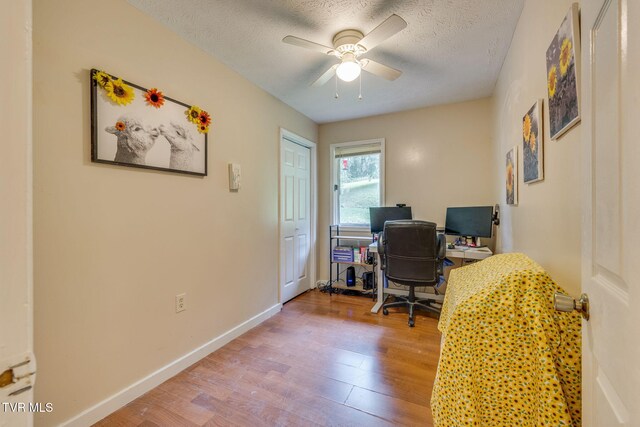 329 Westfield Dr, Kingsport, TN 37664 - photo 16