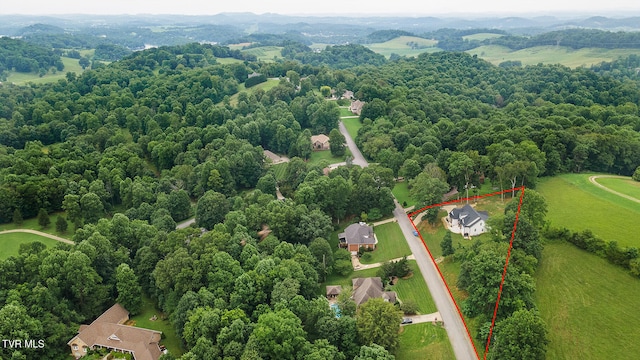 127 Allison Timbers Rd, Piney Flats, TN 37686 - photo 10