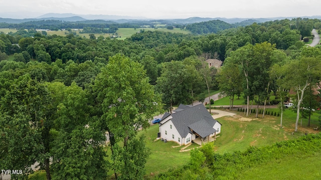 127 Allison Timbers Rd, Piney Flats, TN 37686 - photo 11