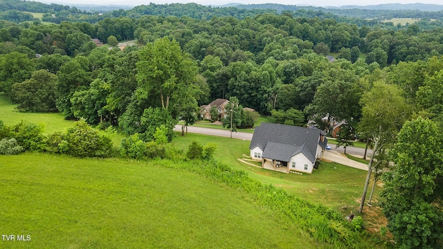 127 Allison Timbers Rd, Piney Flats, TN 37686 - photo 13