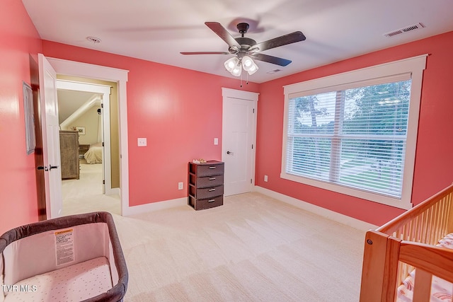 127 Allison Timbers Rd, Piney Flats, TN 37686 - photo 54
