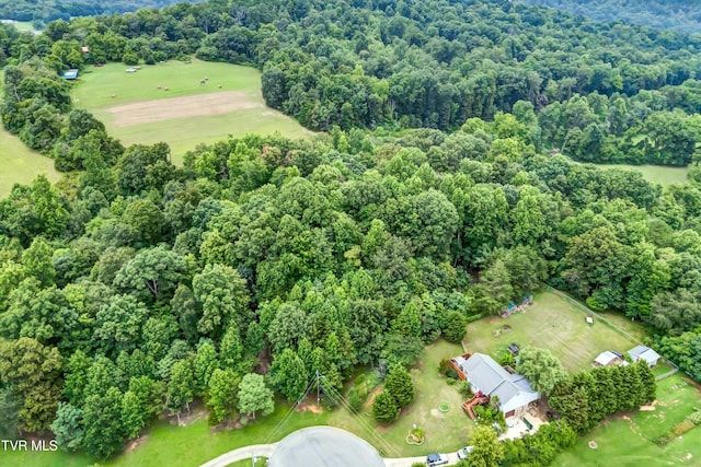 520 Austin Cir, Rogersville, TN 37857 - photo 4