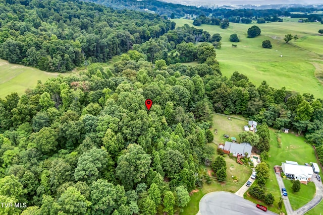 520 Austin Cir, Rogersville, TN 37857 - photo 5