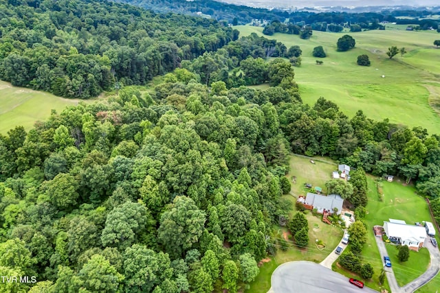 520 Austin Cir, Rogersville, TN 37857 - photo 6