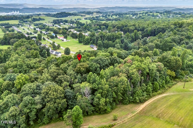 520 Austin Cir, Rogersville, TN 37857 - photo 13