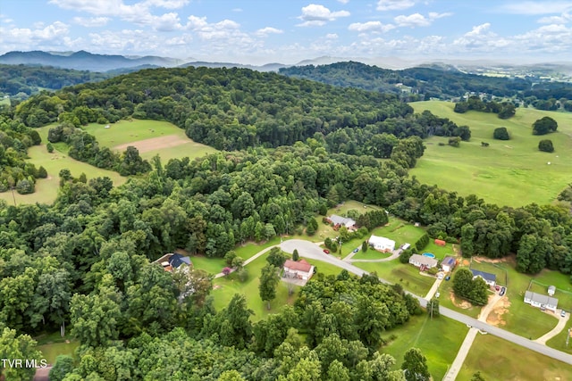 520 Austin Cir, Rogersville, TN 37857 - photo 21