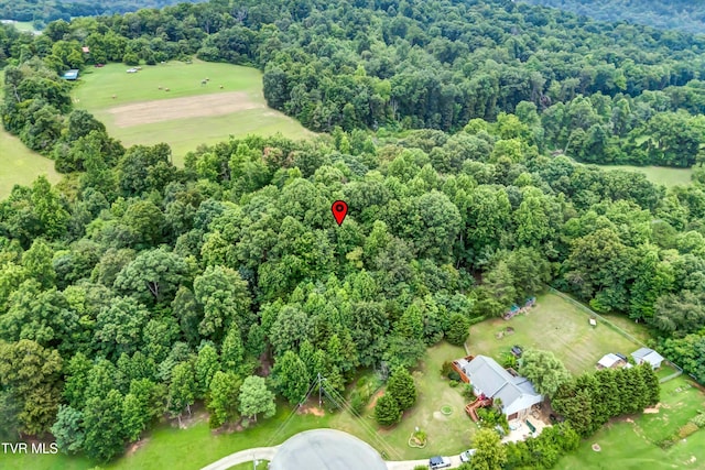 520 Austin Cir, Rogersville, TN 37857 - photo 3