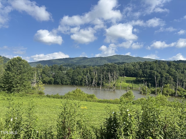 TBD Roan Creek Rd, Butler, TN 37640 - photo 1