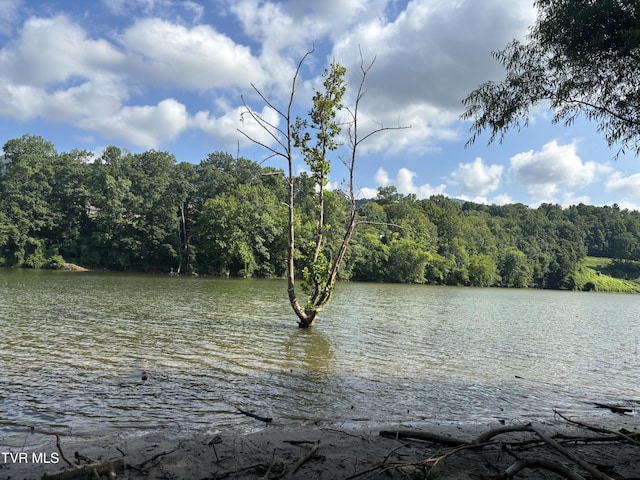 TBD Roan Creek Rd, Butler, TN 37640 - photo 2