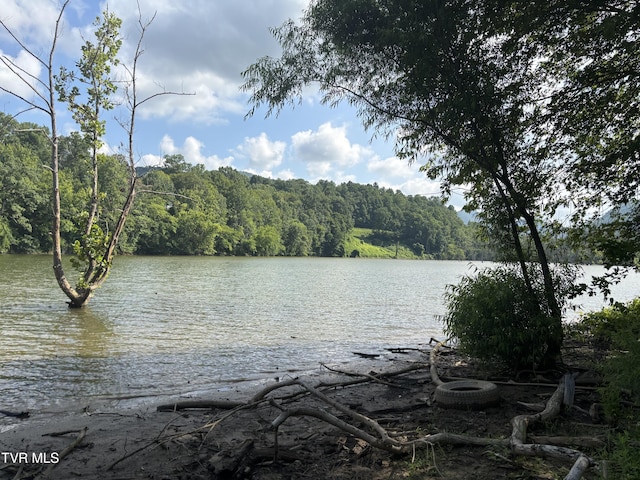 TBD Roan Creek Rd, Butler, TN 37640 - photo 3