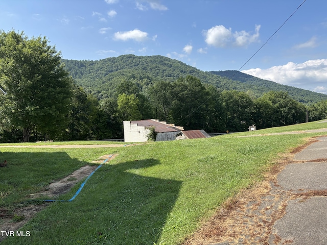 TBD Roan Creek Rd, Butler, TN 37640 - photo 17